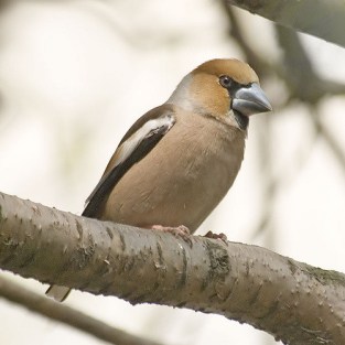 490173180_69be4c7b38_z