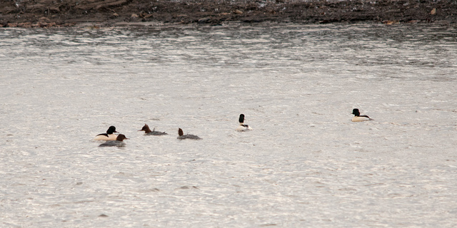 6587632305_f192599f0e_z