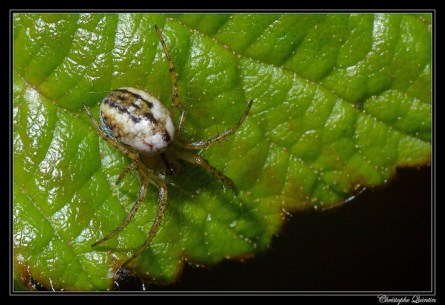 14742660196_ea7b7ed63f_z